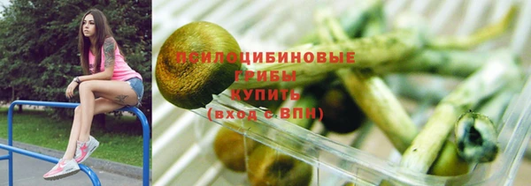 сатива Няндома
