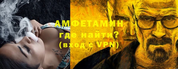 сатива Няндома