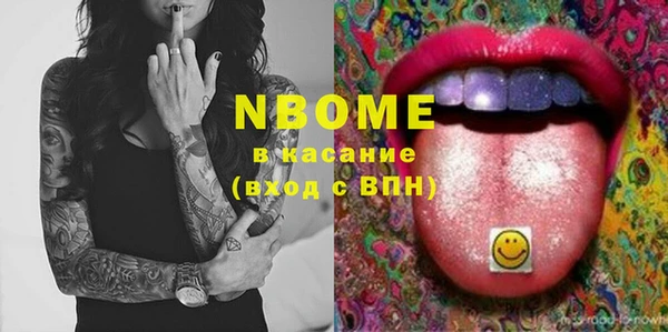сатива Няндома